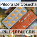 Píldora De Cosecha 43